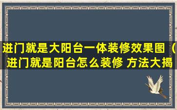 进门就是大阳台一体装修效果图（进门就是阳台怎么装修 方法大揭秘）